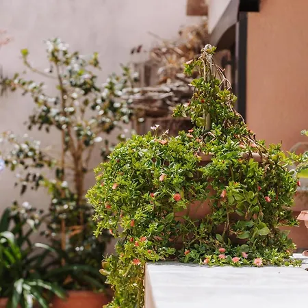 Appartamento Casa Soya *